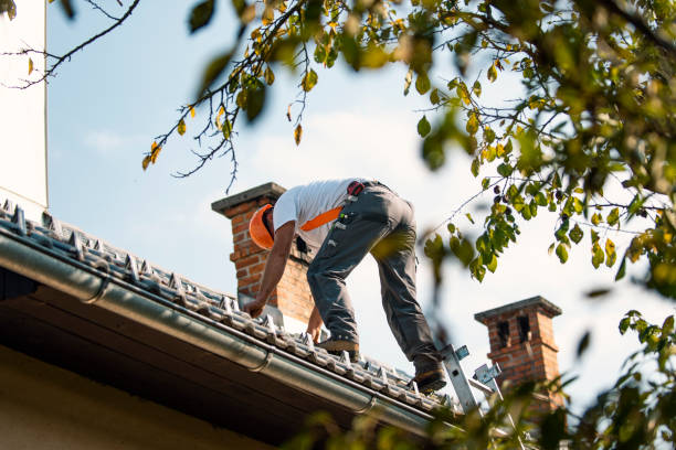 Best Metal Roofing Contractor  in Ashland, PA
