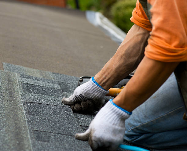 Best Roof Gutter Cleaning  in Ashland, PA