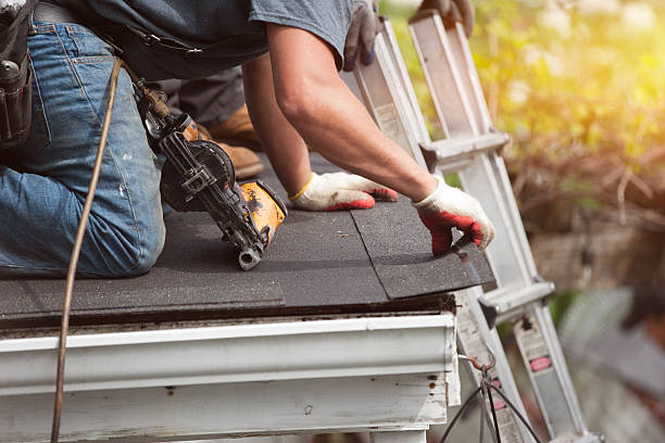 Best Roof Gutter Cleaning  in Ashland, PA